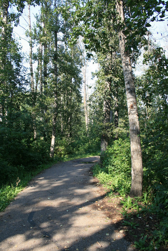 Heritage Grove Park - Pathway