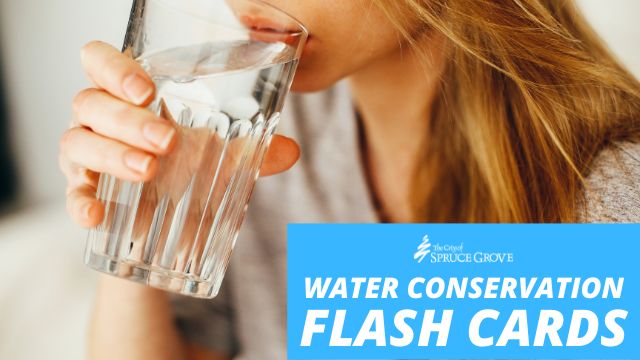 Water conservation quiz flash cards